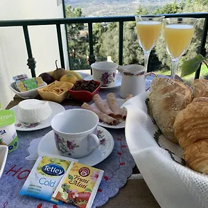 Deluxe Com Terraço E Varanda Privada - 'casinha Da Amoreira' , Coimbra Portugal